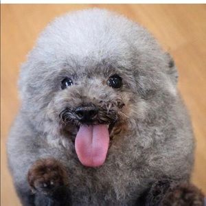 Meet your Posher, Maria